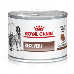 Royal Canin Recovery Umido...